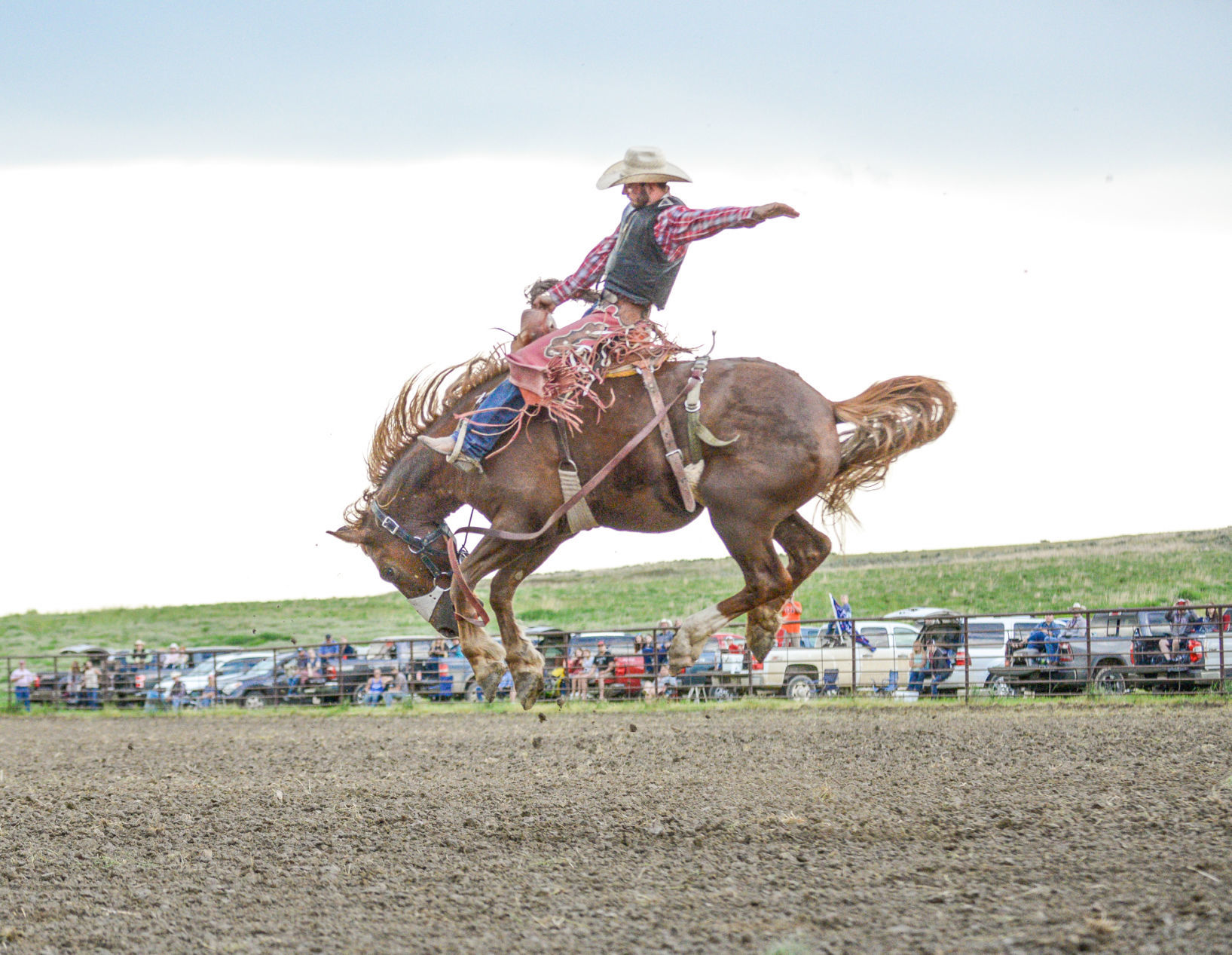 Joliet drive-in rodeo